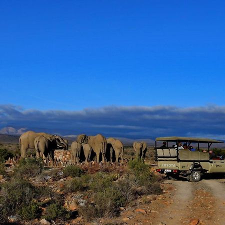 Sanbona Wildlife Reserve Villa Barrydale Ngoại thất bức ảnh