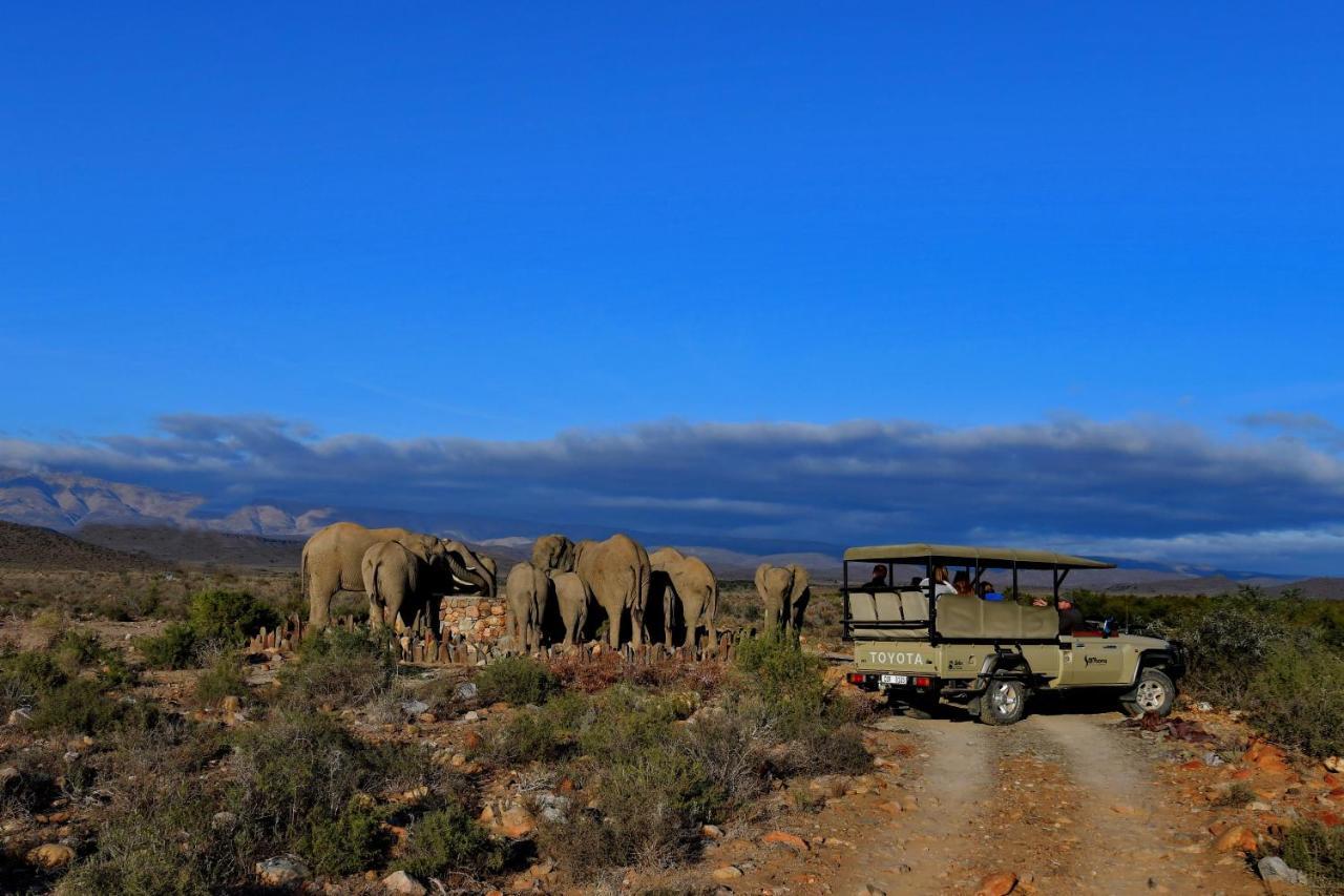 Sanbona Wildlife Reserve Villa Barrydale Ngoại thất bức ảnh