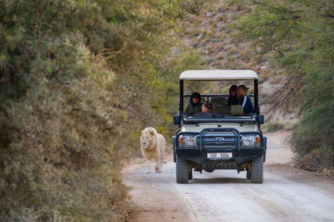 Sanbona Wildlife Reserve Villa Barrydale Ngoại thất bức ảnh