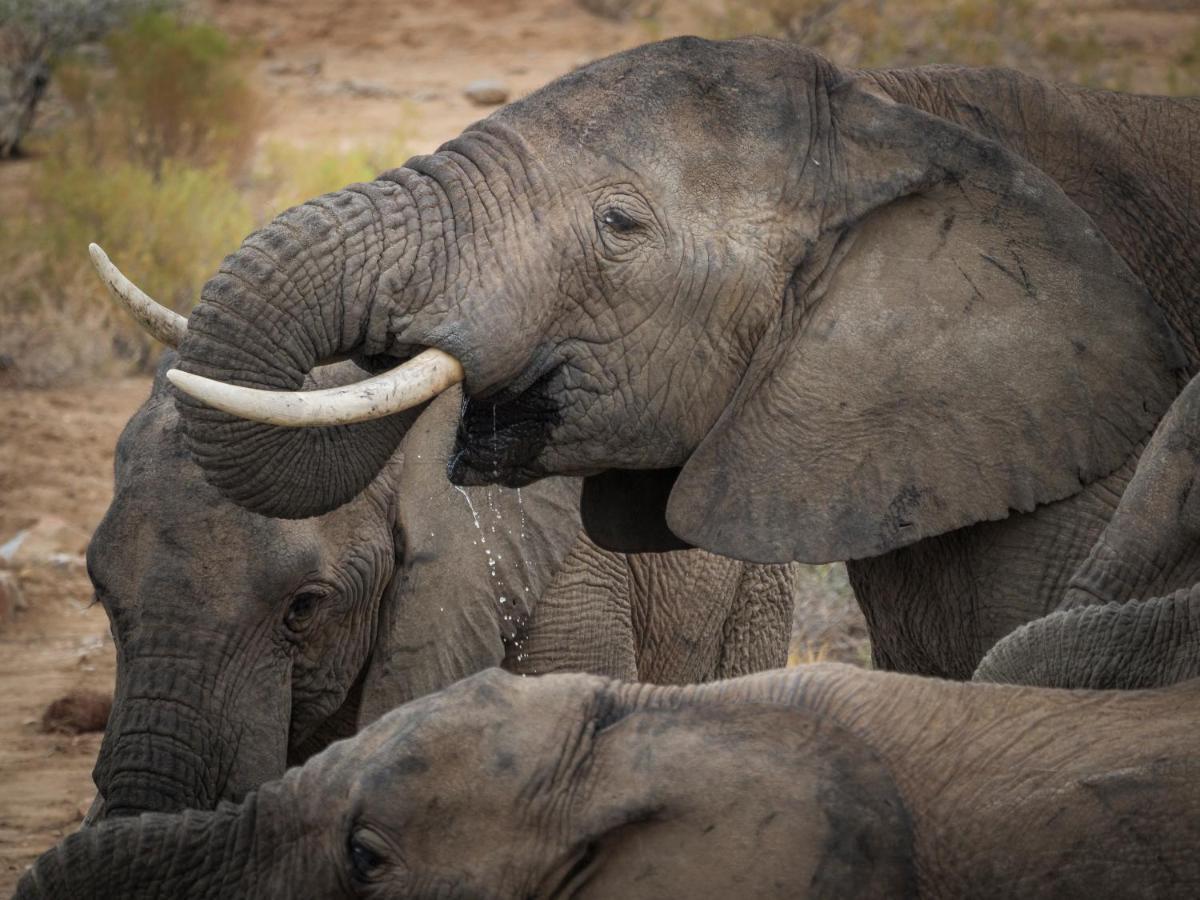 Sanbona Wildlife Reserve Villa Barrydale Ngoại thất bức ảnh