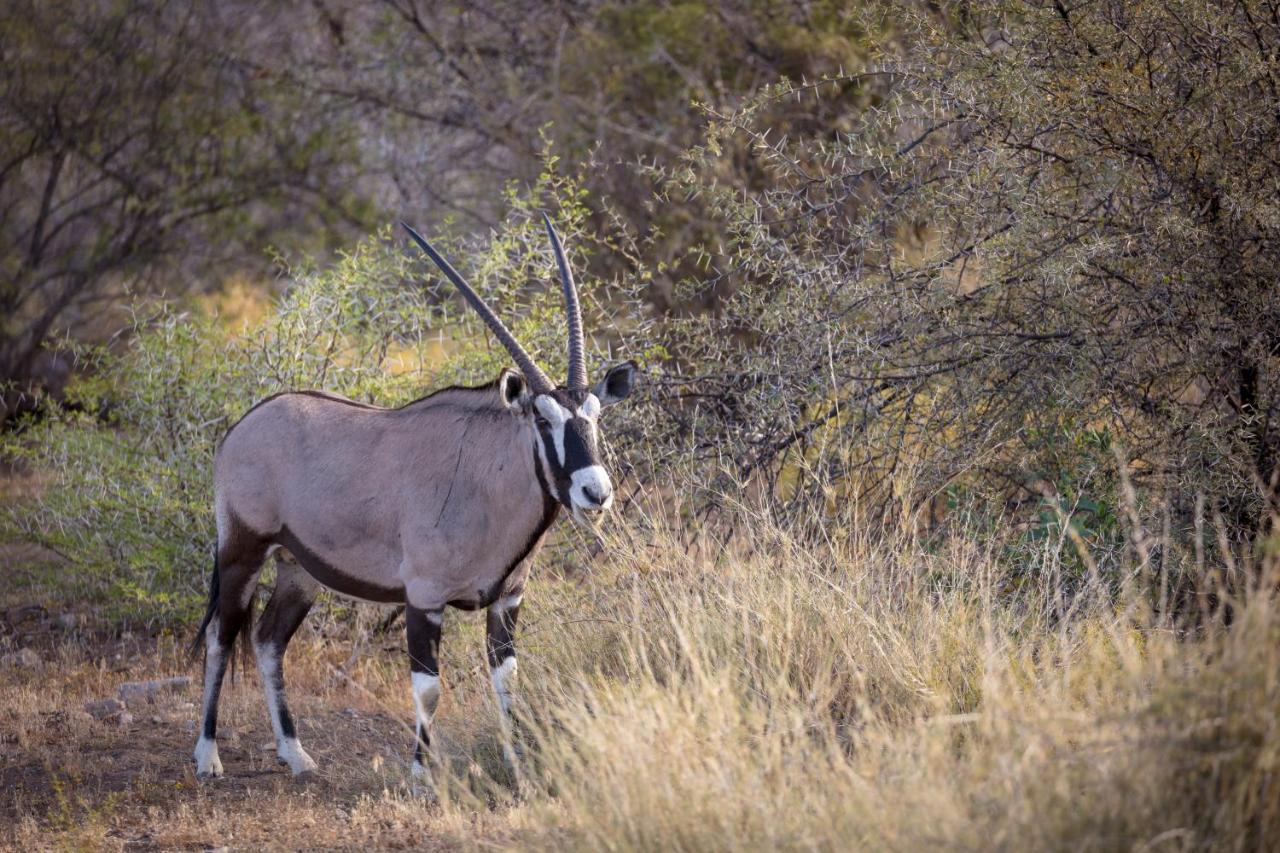 Sanbona Wildlife Reserve Villa Barrydale Ngoại thất bức ảnh