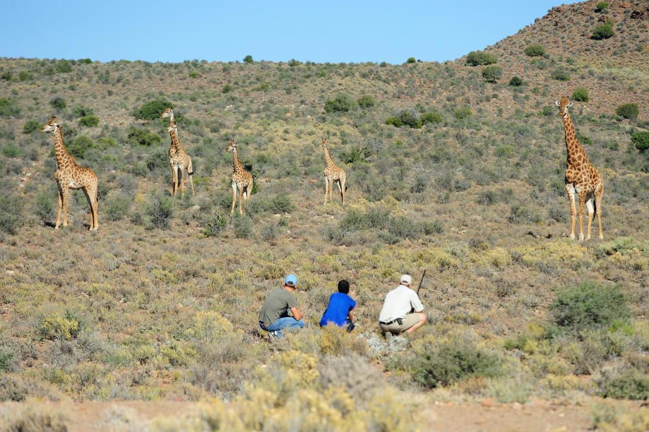 Sanbona Wildlife Reserve Villa Barrydale Ngoại thất bức ảnh