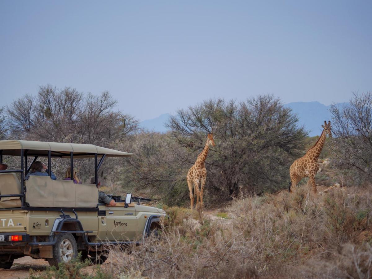 Sanbona Wildlife Reserve Villa Barrydale Ngoại thất bức ảnh