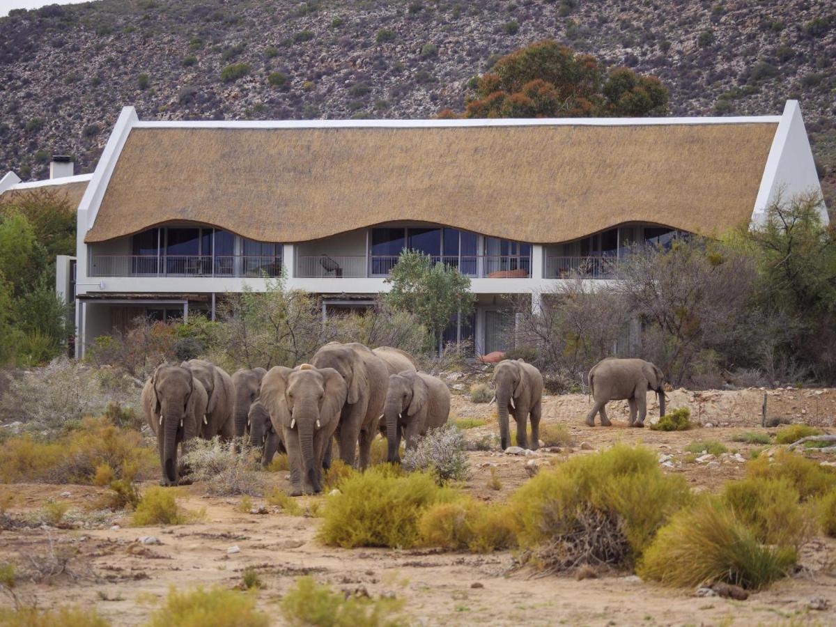 Sanbona Wildlife Reserve Villa Barrydale Ngoại thất bức ảnh